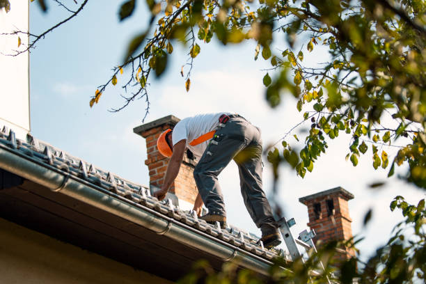 Best Flat Roof Repair Services  in Fort Branch, IN