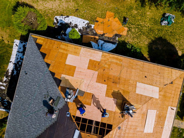 Best Roof Repair Services  in Fort Branch, IN